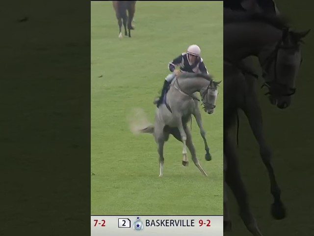 Thumbnail for Post ID: IUBOkW4GOpY