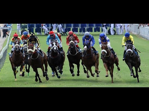 FAITES VOS COURSES - 11th Meeting 2019 Season