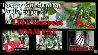 Tower Gardening Made Easy LIVE CAM #towergarden #hydroponicgardening #garden #farm #aeroponic
