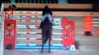 Video of Penelope 306