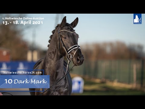 Online-Auktion 13. - 18. April 2021 Lot 10  Dark Mark Wallach v. Dream Boy - Johnson