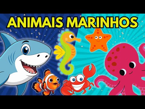 Conheça os animais marinhos | Animais marinhos - Educação Infantil