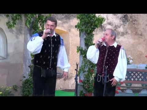 Ansambel Dolenjski zvoki (Straža)-Moja sreča (v živo)