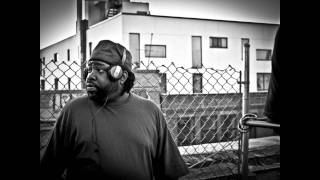 Lord Finesse - Party Over Here (Remix Version)