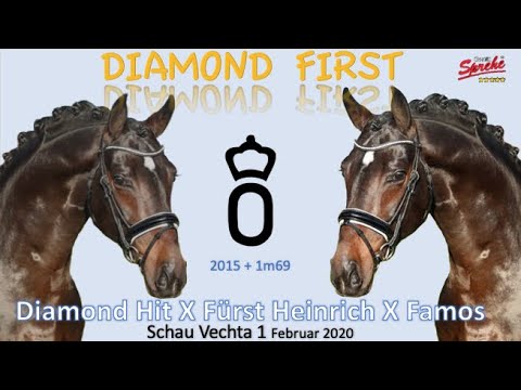 Diamond First @ Vechta 1 Februar 2020