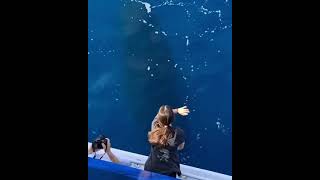 Girl play with Great Whale #short