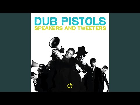 Speakers and Tweeters