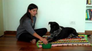 Cooperative Care: Chirag's Bucket Game Step 1