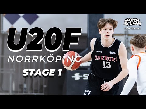 Drive Academy 2 (FIN) vs Norrkoping Dolphins (SWE)