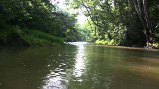 preview picture of video 'Reflections on Dunkard Creek Trailer'