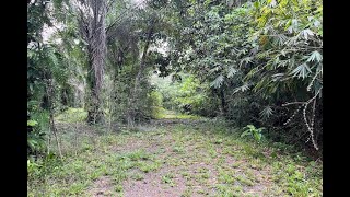 Exceptional 10 Rai Land Plot for Sale that Surrounds a Crystal Clear Stream - Nong Thaley