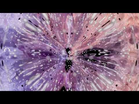 Perfectly Opposite - Carla The Great