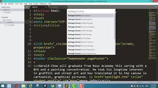 What is Package Control in Sublime Text