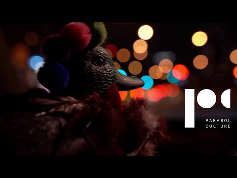 Thoma Bulwer - Rave Duck (Official Video) | Parasol Culture
