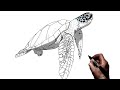 How To Draw A Sea Turtle | Step By Step