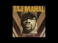 Taj Mahal - Black Man, Brown Man