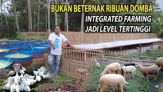 Download lagu BUKAN BETERNAK RIBUAN DOMBA TAPI INTEGRATED FARMING JADI LEVEL TERTINGGI mp3 Download lagu BUKAN BETERNAK RIBUAN DOMBA TAPI INTEGRATED FARMING JADI LEVEL TERTINGGI mp3
