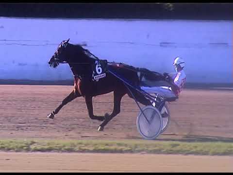 Trotto 18/06/2020 - 2ª corsa