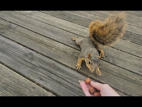 Mistakes were made...