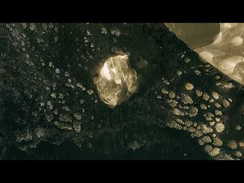 Kringa - All Stillborn Fires, Lick my Heart! (Full album)