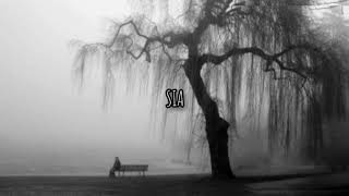 Sia - I'm in here - TRADUÇÃO