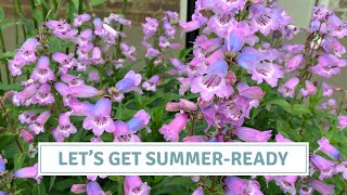 Pastel Sweet Pea Colour Palette + Garden Tidy // Cottoverdi