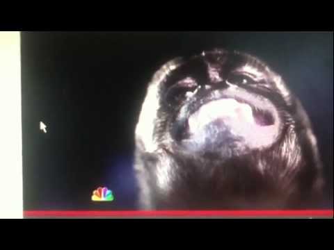 NBC Airs Racist Monkey Commercial After Gabby Douglas Wins Gold Medal For Team USA Review