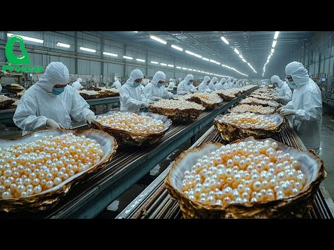 PEARL FARM | How the World’s Most Beautiful Pearls Are Harvested and Processed