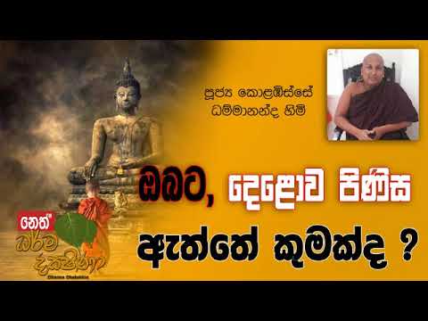 Darma Dakshina 2019.04.18 - Kolabisse Dhammananda Himi