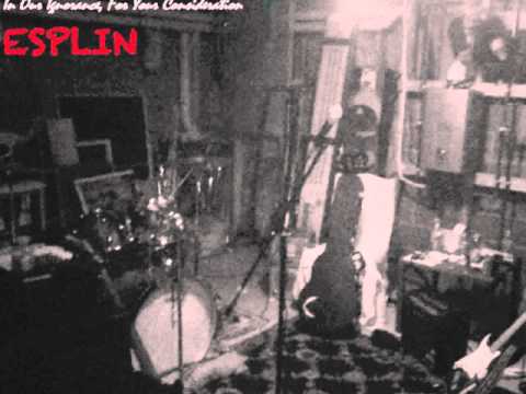 Esplin - In Our Ignorance, For Your Consideration