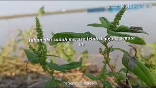 Download lagu Snap WA 'menghitung hari' mp3