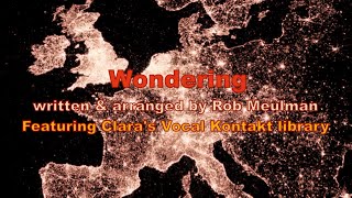 Wondering - Rob Meulman