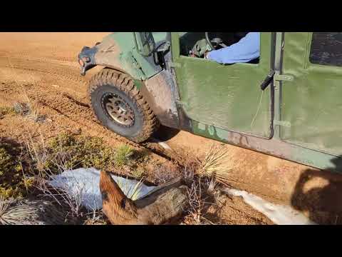 HMMWV / Humvee Locking ish Differential Demonstration .     Hummer 2023 Colorado