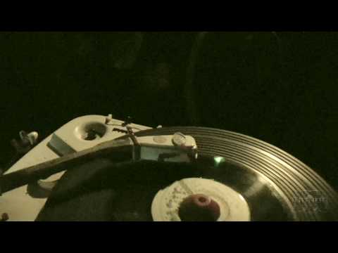 Jurassic SoundSystem @ JAMBOREE PARTY -   Liquidator / What am i to do