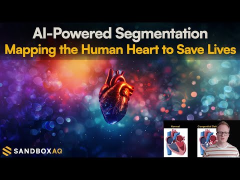 Building 3D Heart Models with Custom Machine Learning | Tech talk with Brian Cottle
