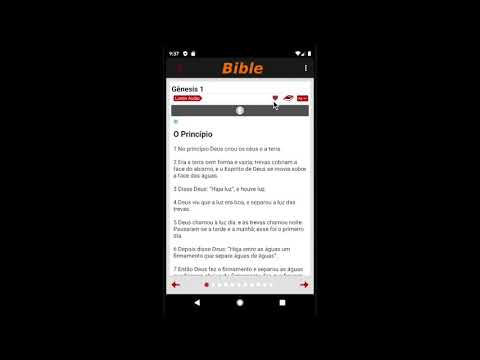 Portuguese bible NIV (Audio) Video