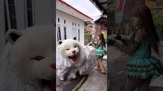 Download lagu Sering jail can macanan jadinya dimakan mp3 Download lagu Sering jail can macanan jadinya dimakan mp3