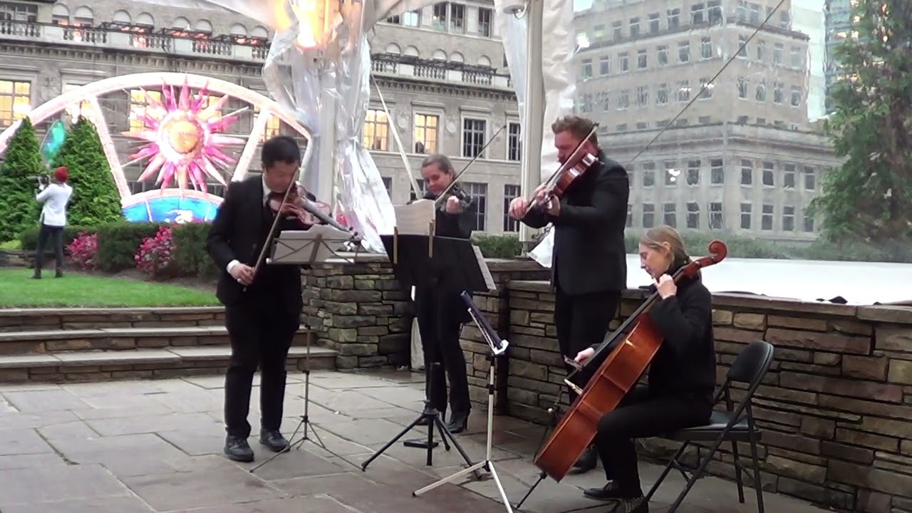 Promotional video thumbnail 15 for Xinou Wei Strings