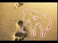 elefante-caminar 