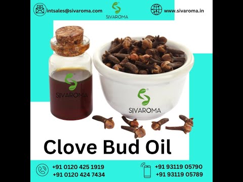 Clove Spice Oil, 100% Pure, 5 kg
