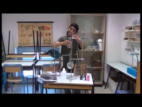 Lipdub Scuola media Carnate Everybody Get Up!