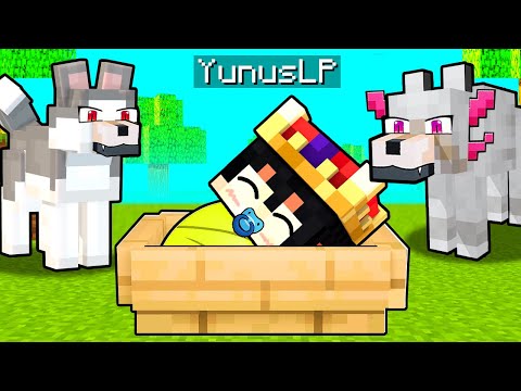 Minecraft'ta SÜPER KURTLAR Beni SAHİPLENDİ!