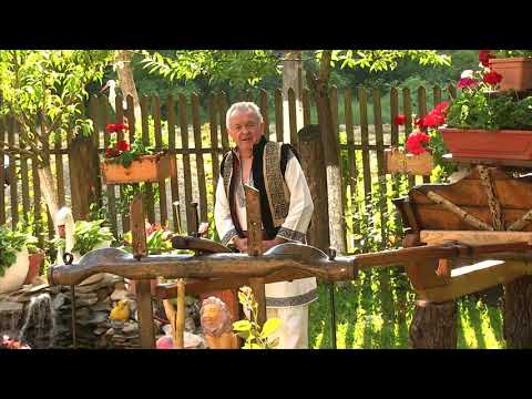 HETEA  TOADER - PENTRU TINE, DRAG ILIE