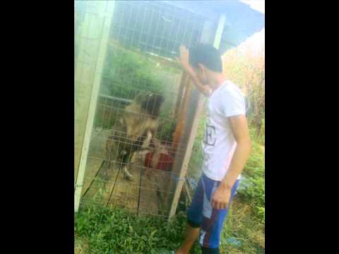 Camuflaj ft. Yolo -  Romania (by marius)