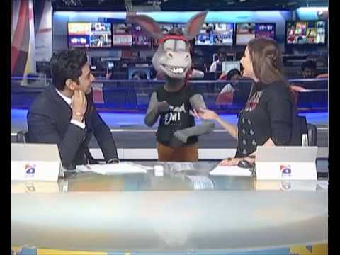 Download The Donkey King Downlod Move.3gp .mp4  Codedwap