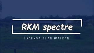 ALAN WALKER SPECTRE COVER VIDEO (RKM)