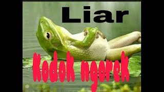 Download lagu KODOK NGOREK KODOK NGOREK NANG PINGGIR KALI | LAgu Anak Indonesia Populer | Teot Teblung mp3 Download lagu KODOK NGOREK KODOK NGOREK NANG PINGGIR KALI | LAgu Anak Indonesia Populer | Teot Teblung mp3