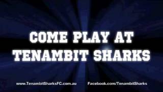 preview picture of video 'Best family Maitland Soccer club - Tenambit Sharks'