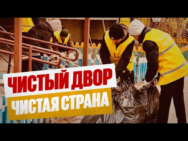 Чистый двор — чистая страна: как приучить людей к порядку?