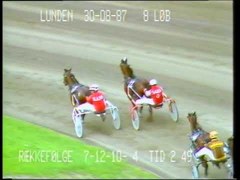 Dansk Trav Derby 1987- Konsonant